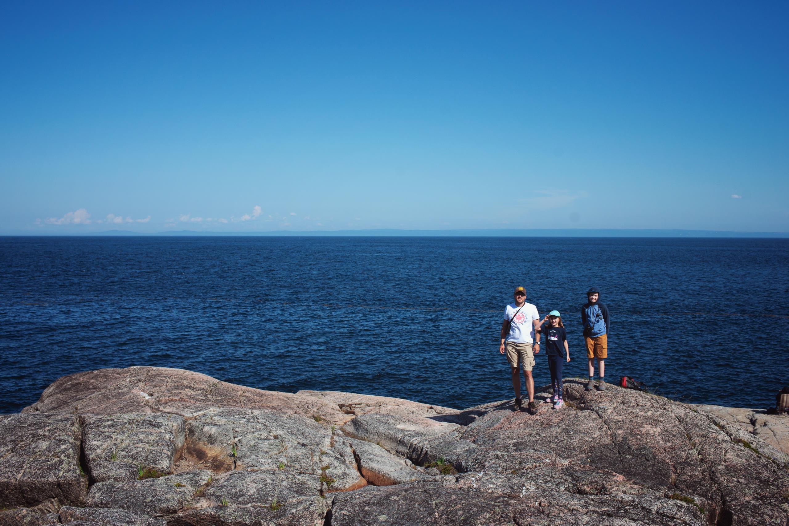 PIC 6950