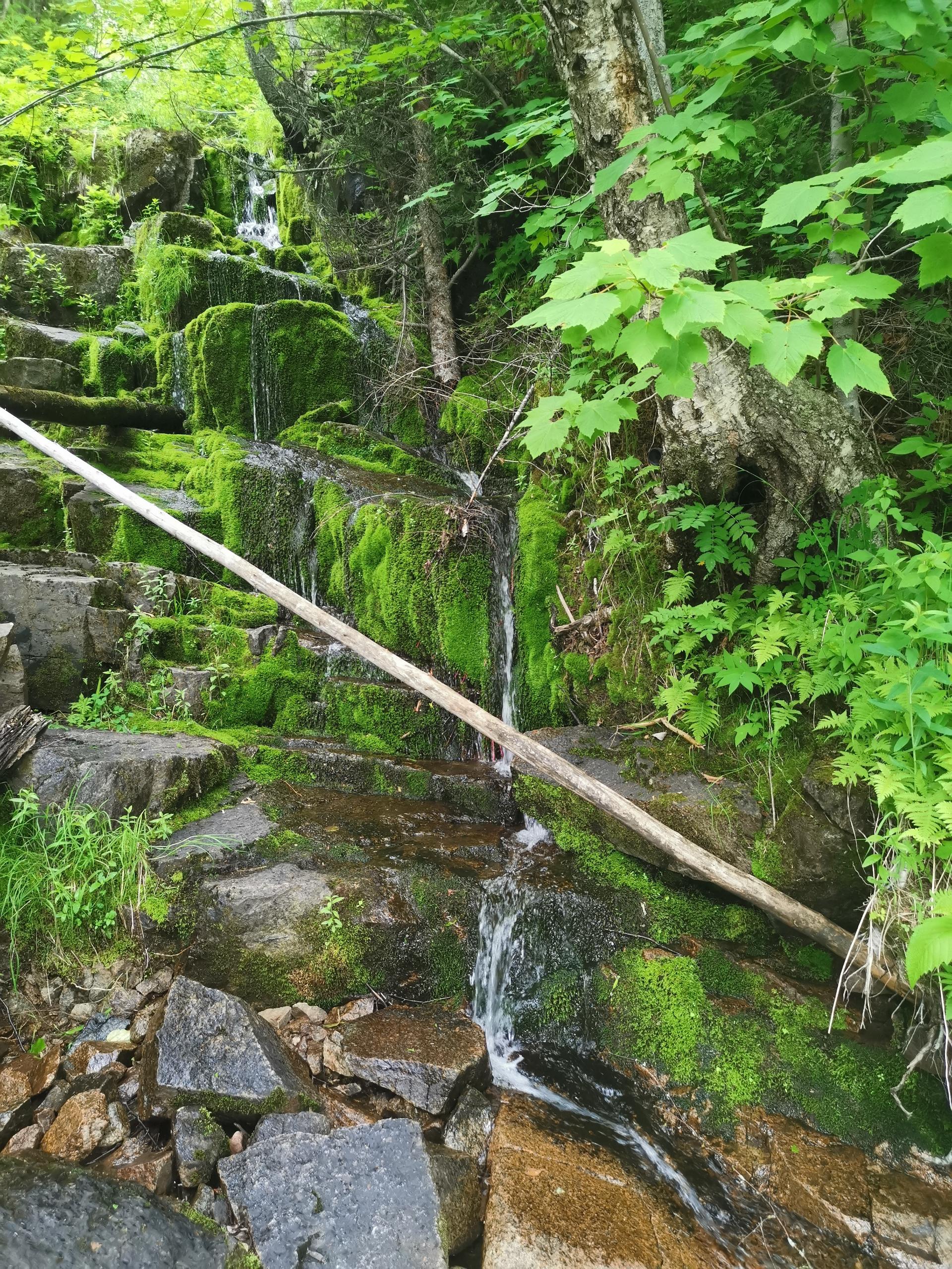 IMG 20200702 103037