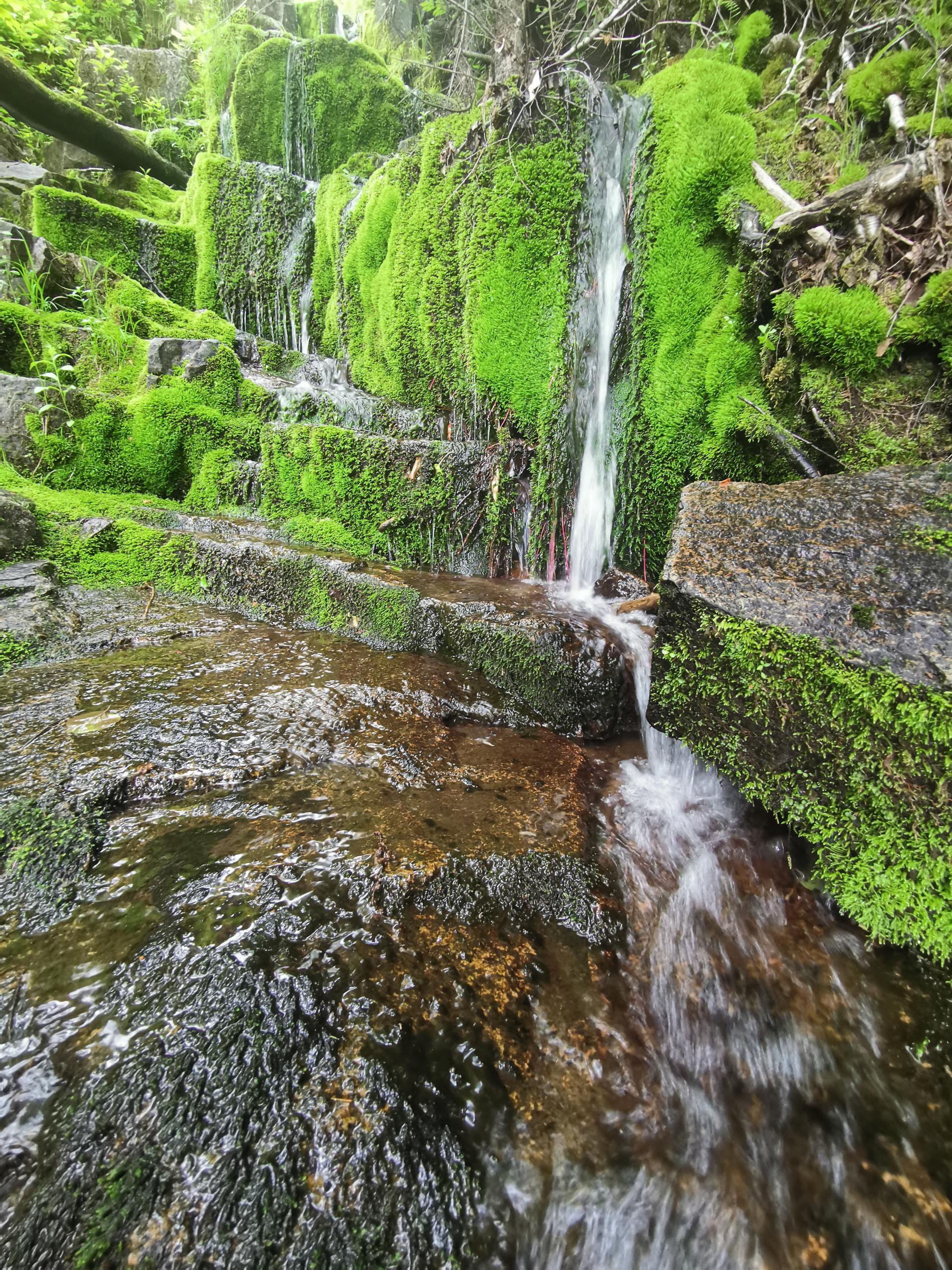 IMG 20200702 103215